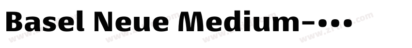 Basel Neue Medium字体转换